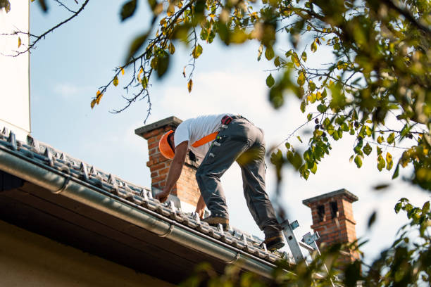 Best Gutter Installation and Roofing  in West Jefferson, OH