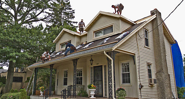 Best Storm Damage Roof Repair  in West Jefferson, OH