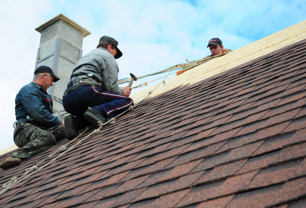 Best Roof Gutter Cleaning  in West Jefferson, OH
